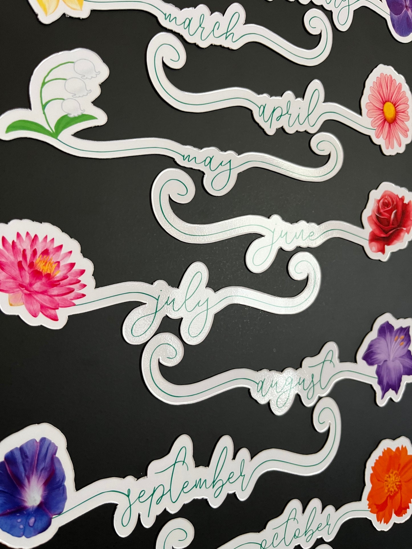 Flower Birth Month Calendar Magnets // Planner Months Magnets // Colorful Calendar Magnet Months