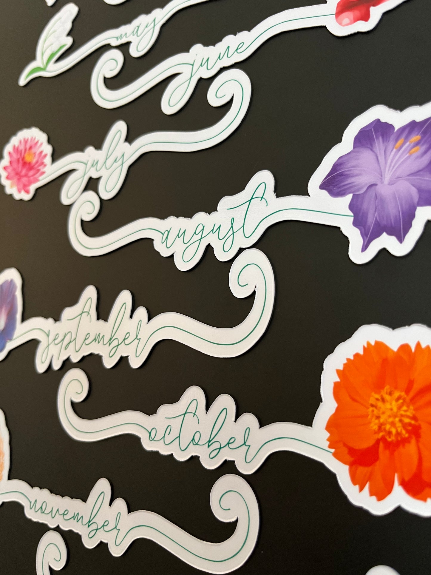 Flower Birth Month Calendar Magnets // Planner Months Magnets // Colorful Calendar Magnet Months