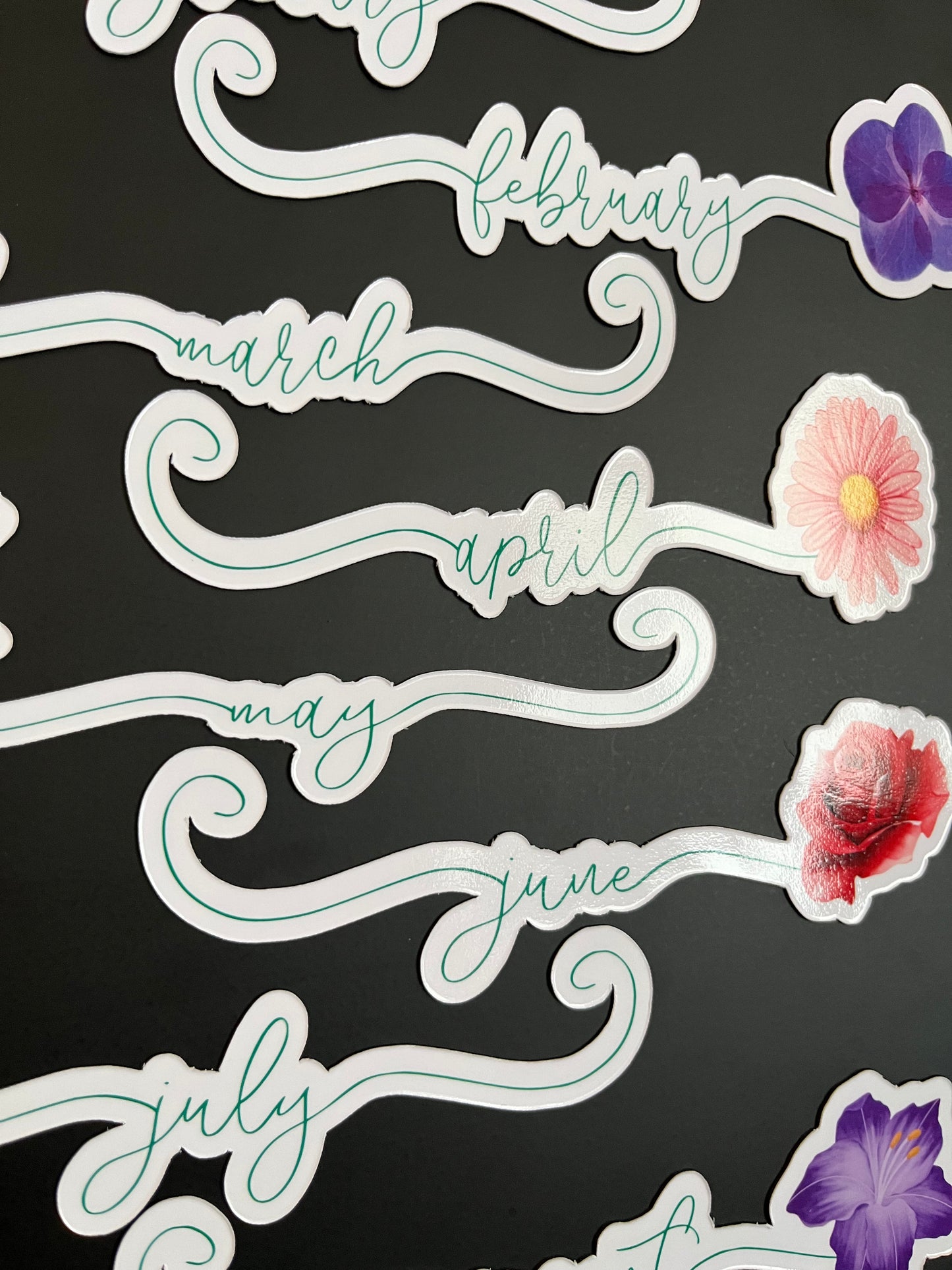 Flower Birth Month Calendar Magnets // Planner Months Magnets // Colorful Calendar Magnet Months