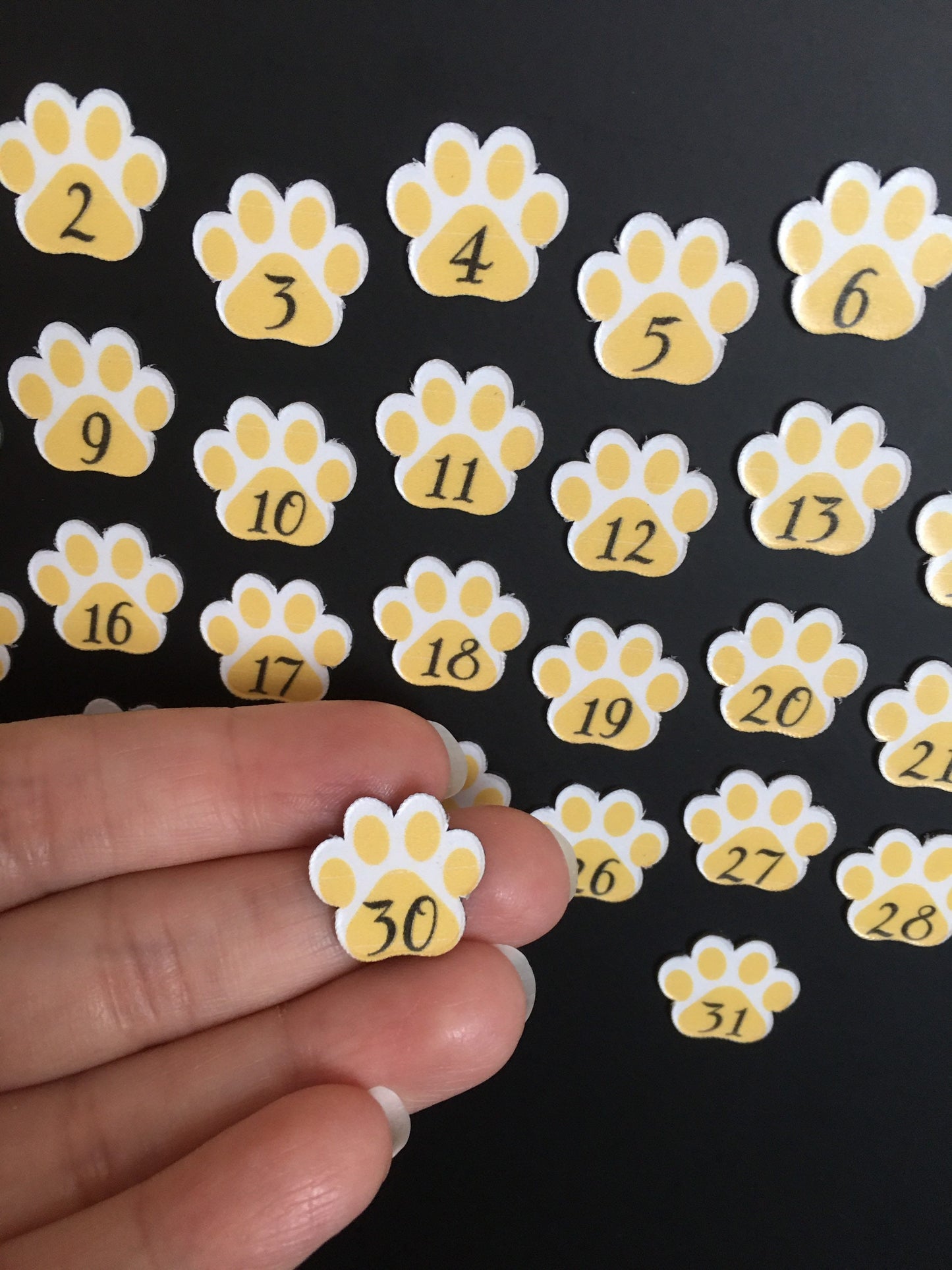 Dog Paw Magnet Days for Calendar // Dog Lover Day Magnets // Magnet Calendar Days Set