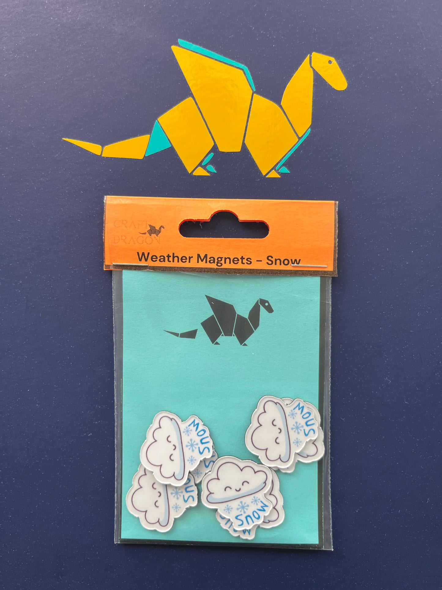 Weather Magnet Set – Snow