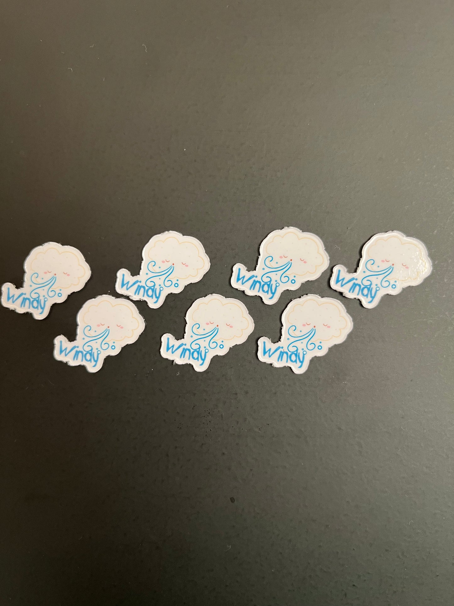 Weather Magnet Set – Windy