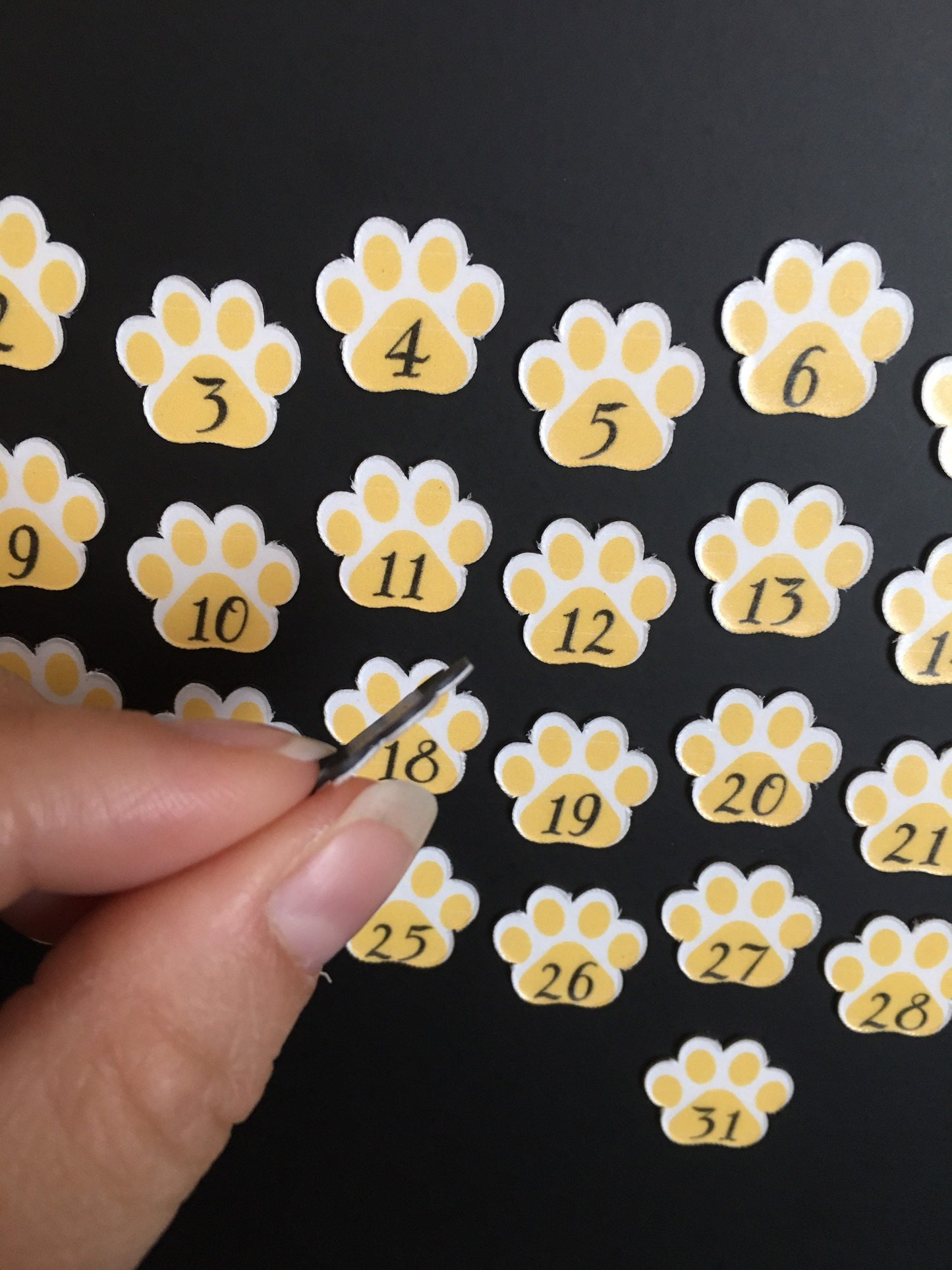 Dog Paw Magnet Days for Calendar // Dog Lover Day Magnets // Magnet Calendar Days Set